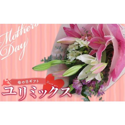 ふるさと納税 雑貨・日用品 花 福島県 白河市 母の日 ギフト用 ユリ ミックス 花束(合計15〜20輪) 植物 フラワー 花 F23R-788