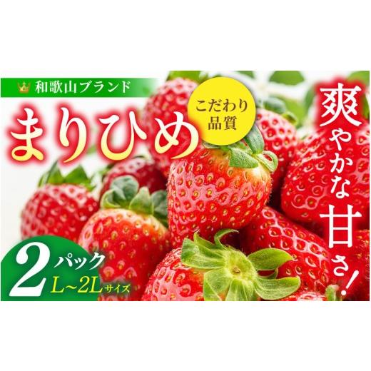 ふるさと納税 いちご 和歌山県 由良町 まりひめ イチゴ L〜2L 12粒〜15粒×2パック / 果物 甘い いちご 和歌山 2027年1月中旬〜3月下旬頃配送予定 先行販売 …