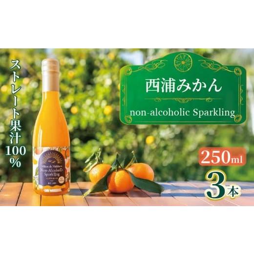 ふるさと納税 果汁飲料 みかん 静岡県 沼津市 西浦 みかん スパークリング ジュース ストレート 果汁 100% 250ml×3本 蜜柑 飲み物 ミカン 人気 贈答用 静岡 …