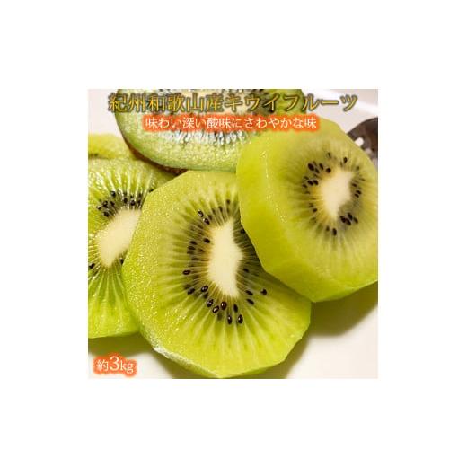 ふるさと納税 果物類 和歌山県 太地町 紀州かつらぎ山のキウイフルーツ約3kg 2027年1月下旬〜2月上旬頃に順次発送予定(お届け日指定不可)