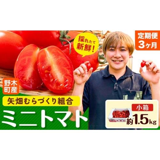 ふるさと納税 セット・詰合せ 栃木県 野木町 先行予約 3ヶ月定期便 ミニトマト 約1.5kg 1箱 小箱 栃木県 野木町産 矢畑むらづくり組合 [2025年10月上旬-2026…