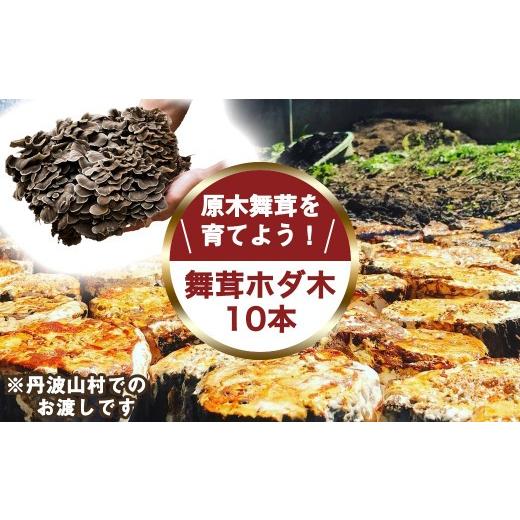 ふるさと納税 花・苗木 山梨県 丹波山村 村に取りに来られる方限定 丹波山村の原木舞茸のほだ木販売 10本 原木舞茸を自分で育ててみませんか tab0202
