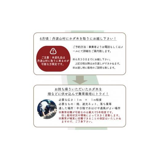 ふるさと納税 花・苗木 山梨県 丹波山村 村に取りに来られる方限定 丹波山村の原木舞茸のほだ木販売 10本 原木舞茸を自分で育ててみませんか tab0202