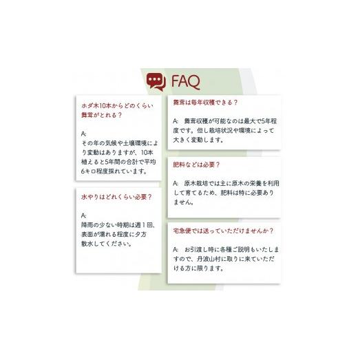 ふるさと納税 花・苗木 山梨県 丹波山村 村に取りに来られる方限定 丹波山村の原木舞茸のほだ木販売 10本 原木舞茸を自分で育ててみませんか tab0202