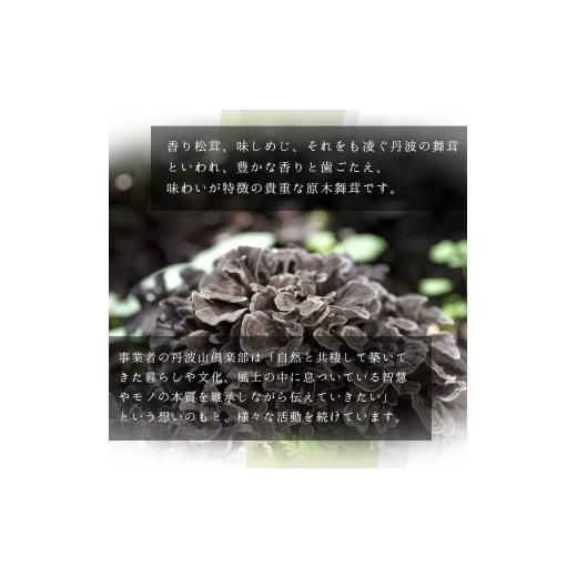 ふるさと納税 花・苗木 山梨県 丹波山村 村に取りに来られる方限定 丹波山村の原木舞茸のほだ木販売 10本 原木舞茸を自分で育ててみませんか tab0202