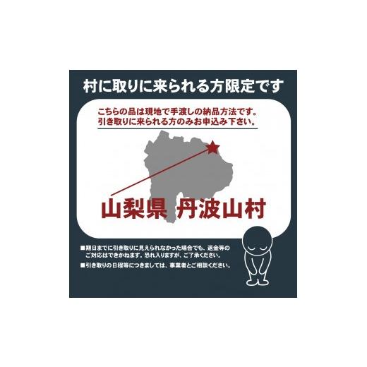 ふるさと納税 花・苗木 山梨県 丹波山村 村に取りに来られる方限定 丹波山村の原木舞茸のほだ木販売 10本 原木舞茸を自分で育ててみませんか tab0202