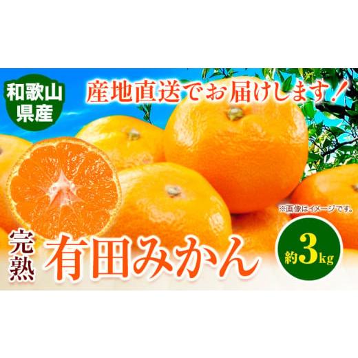 ふるさと納税 果物類 みかん 和歌山県 日高町 みかん 完熟有田みかん 約3kg 有田マルシェ[11月中旬-1月上旬頃出荷予定] 和歌山県 日高町 みかん 有田 みかん…