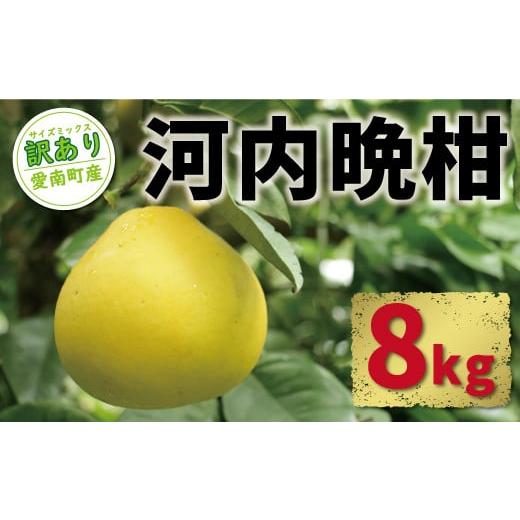 ふるさと納税 みかん・柑橘類 愛媛県 愛南町 訳あり 河内晩柑 8kg 9000円 みかん かわちばんかん 愛南ゴールド あいなん ゴールド 美生柑 文旦 グレープフルー…