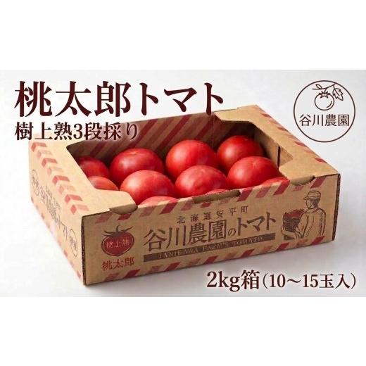 ふるさと納税 野菜類 トマト 北海道 安平町  先行予約 樹上熟3段採り 桃太郎トマト ／ 正品2kg箱(10〜15玉入) 1472504_1