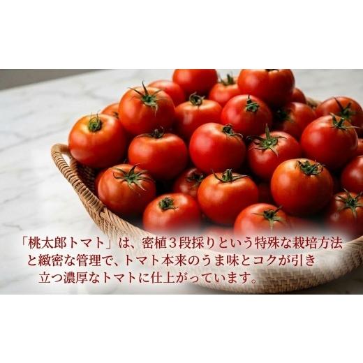 ふるさと納税 野菜類 トマト 北海道 安平町  先行予約 樹上熟3段採り 桃太郎トマト ／ 正品2kg箱(10〜15玉入) 1472504_2