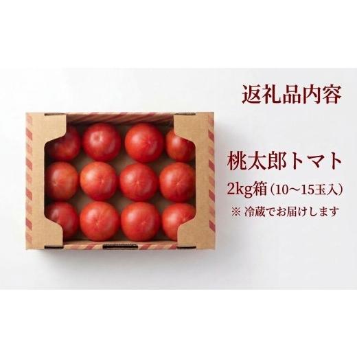 ふるさと納税 野菜類 トマト 北海道 安平町  先行予約 樹上熟3段採り 桃太郎トマト ／ 正品2kg箱(10〜15玉入) 1472504_4