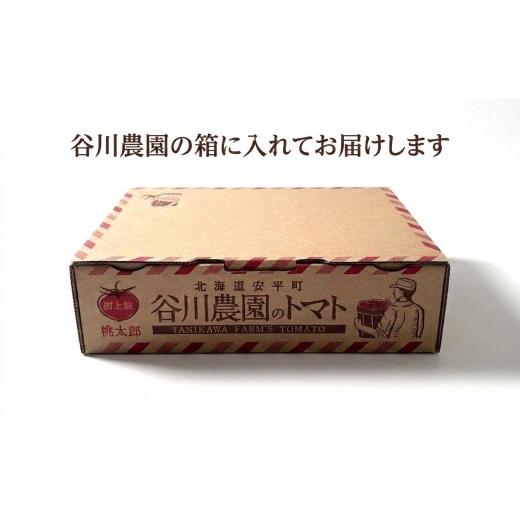 ふるさと納税 野菜類 トマト 北海道 安平町  先行予約 樹上熟3段採り 桃太郎トマト ／ 正品2kg箱(10〜15玉入) 1472504_5