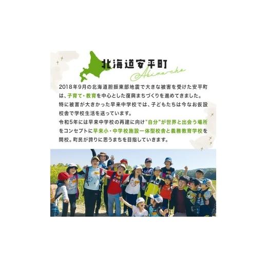 ふるさと納税 野菜類 トマト 北海道 安平町  先行予約 樹上熟3段採り 桃太郎トマト ／ 正品2kg箱(10〜15玉入) 1472504_6