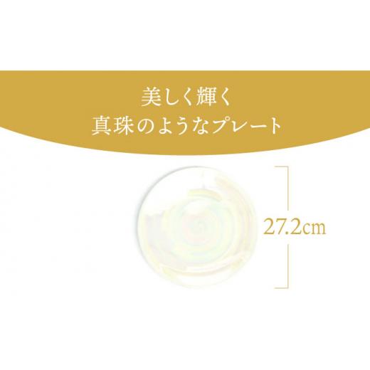 ふるさと納税 瀬戸もの・塗師細工・玻璃 岐阜県 土岐市  美濃焼 ボナペティ9本塁 真珠瓷 RYOTA AOKI POTTERY／青木良太 陶物作り家 お皿 室内装飾 MCH337