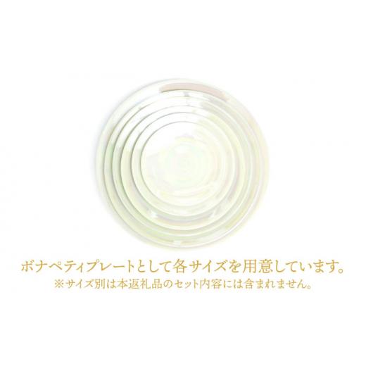 ふるさと納税 瀬戸もの・塗師細工・玻璃 岐阜県 土岐市  美濃焼 ボナペティ9本塁 真珠瓷 RYOTA AOKI POTTERY／青木良太 陶物作り家 お皿 室内装飾 MCH337