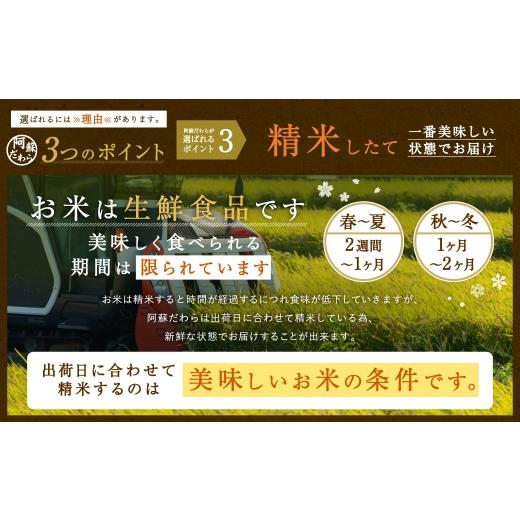 ふるさと納税 米 熊本県 高森町 1ヶ月毎12回定期便 阿蘇だわら 10kg