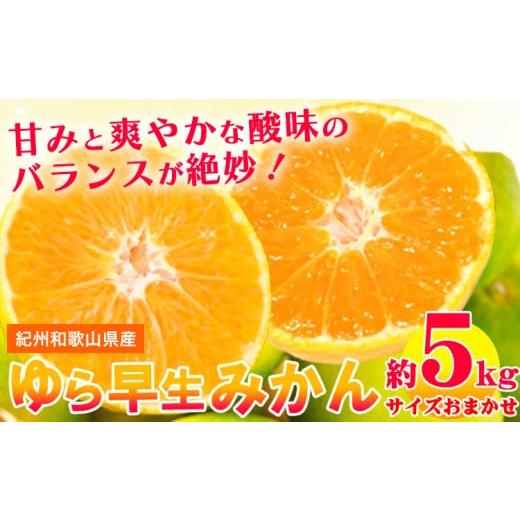 ふるさと納税 果物類 みかん 和歌山県 日高町 極早生みかんの逸品 紀州和歌山県産ゆら早生みかん 約5kg 日高町厳選館 [10月中旬-11月中旬頃出荷] 和歌山県 …