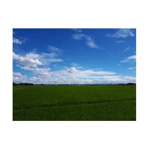 ふるさと納税 米 ミルキークイーン 埼玉県 川島町  ミルキークイーン 定期便 玄米 5kgx3か月連続 松原グリーンファーム 特別栽培米 ミルキークイーン 玄米 5kg…の画像