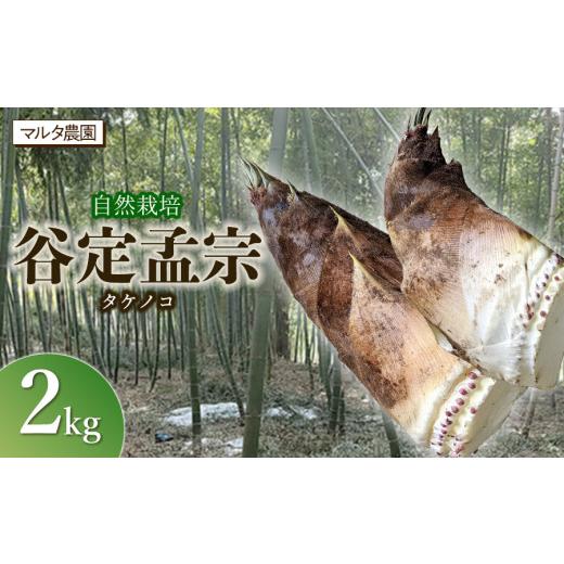 ふるさと納税 野菜類 山菜 山形県 鶴岡市  令和8年産 先行予約 自然栽培 谷定孟宗（タケノコ）2kg マルタ農園 筍 竹の子の画像