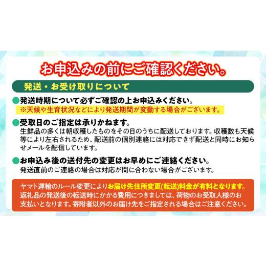 ふるさと納税 野菜類 山菜 山形県 鶴岡市  令和8年産 先行予約 自然栽培 谷定孟宗（タケノコ）2kg マルタ農園 筍 竹の子の画像