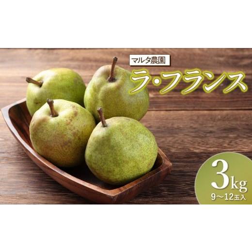 ふるさと納税 梨 山形県 鶴岡市 令和8年産先行予約 ラ・フランス 3kg (9〜12玉) 山形県鶴岡市産 マルタ農園