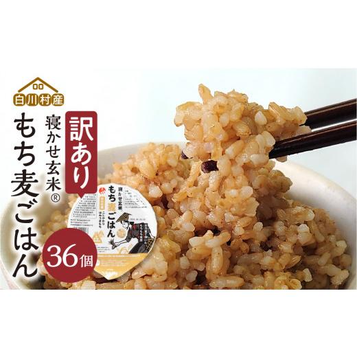 ふるさと納税 加工品等 レトルト 岐阜県 白川村 白川村産 寝かせ玄米もち麦ごはん 36個 S703の画像