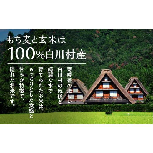 ふるさと納税 加工品等 レトルト 岐阜県 白川村 白川村産 寝かせ玄米もち麦ごはん 36個 S703の画像