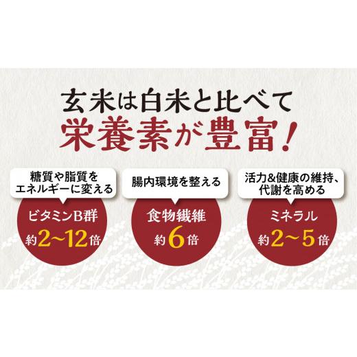 ふるさと納税 加工品等 レトルト 岐阜県 白川村 白川村産 寝かせ玄米もち麦ごはん 36個 S703の画像