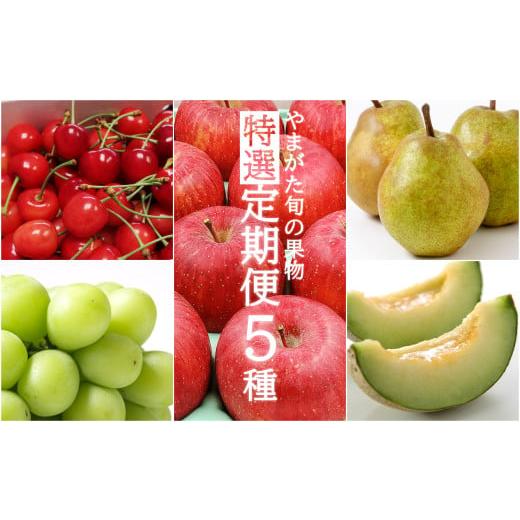 ふるさと納税 果物類 さくらんぼ 山形県 長井市 2026年発送 定期便5回 山形の果物特選5種(さくらんぼ/メロン/シャインマスカット/ラ・フランス/サンふじ…