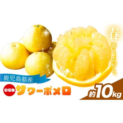 ふるさと納税 みかん・柑橘類 鹿児島県 さつま町 先行予約 家庭用 みかん サワーポメロ 10kg よしたか農園 [2027年2月上旬〜3月下旬頃出荷]鹿児島県 さつま…