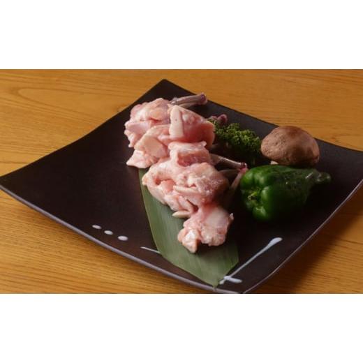 ふるさと納税 鶏肉 神奈川県 寒川町 国産 若鶏チューリップ 500g 冷凍 塩ダレ 漬け込み肉 味付き肉 タレ付き 肉 塩ダレ