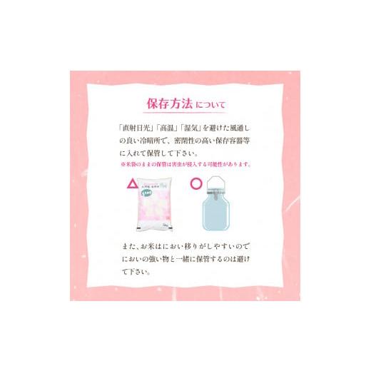 ふるさと納税 山形県 東根市 【令和6年産 先行予約】はえぬき10kg (2025年1月前半送付)JA提供 山形県 東根市　hi002-028-011 2025年1月前半発送｜furusatochoice｜07