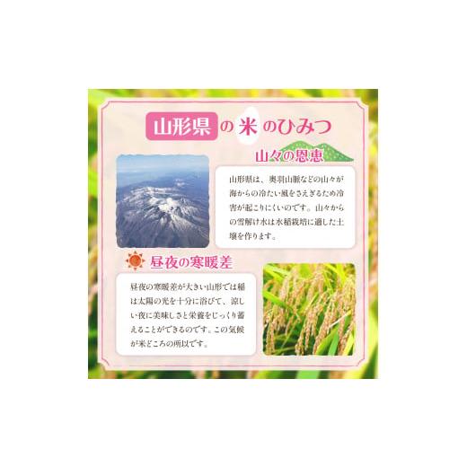 ふるさと納税 山形県 東根市 【令和6年産 先行予約】はえぬき15kg (2025年1月前半送付)JA提供 山形県 東根市　hi002-027-011 2025年1月前半発送｜furusatochoice｜04