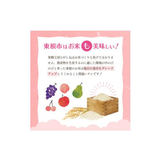 ふるさと納税 山形県 東根市 【令和6年産 先行予約】はえぬき15kg (2025年1月後半送付)JA提供 山形県 東根市　hi002-027-013 2025年1月後半発送｜furusatochoice｜05