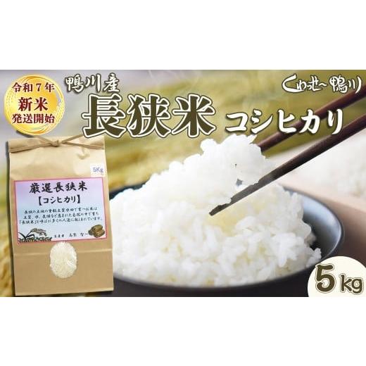 ふるさと納税 米 コシヒカリ 千葉県 鴨川市 [令和7年産 新米] くわっせ〜鴨川 鴨川産 厳選『長狭米こしひかり』5kg[精米]