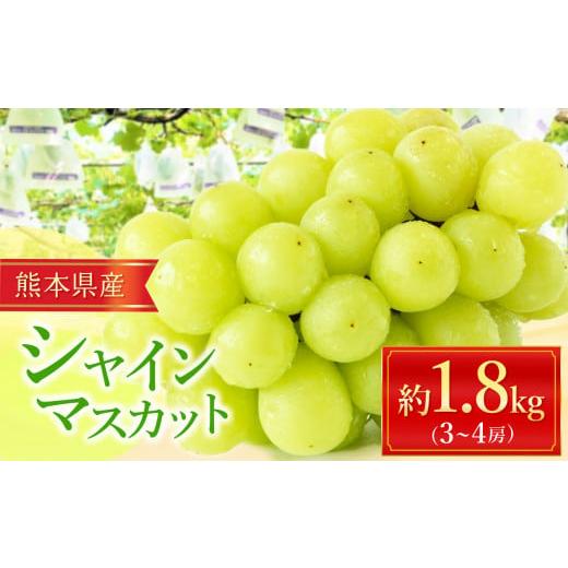 ふるさと納税 熊本県 玉名市 シャインマスカット 約 1.8kg (3〜4房) | フルーツ 果物 ぶどう 葡萄 新鮮 農家直送 熊本県 玉名市 くまもと たまな
