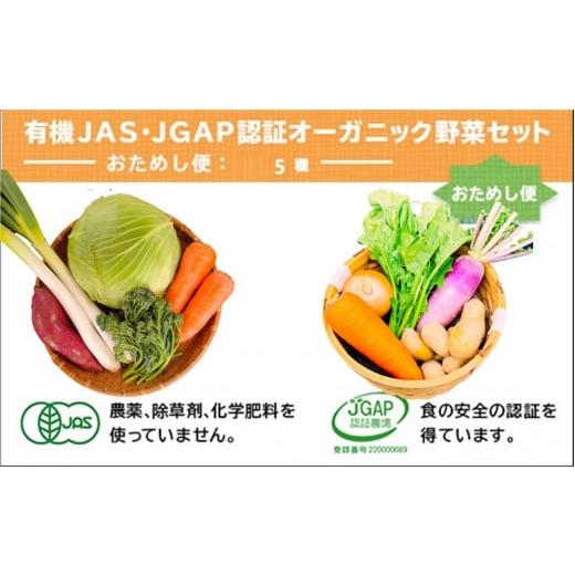 ふるさと納税 静岡県 掛川市 2005 野菜 オーガニック 野菜 5種 おためしセット 有機JAS認証 有機野菜 野菜セット1回便 しあわせ野菜畑