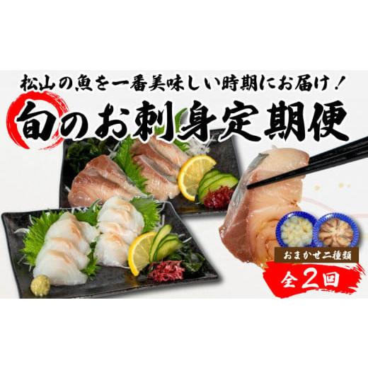ふるさと納税 旬の鮮魚等 愛媛県 松山市 <秋からお届け> 全2回 旬のお刺身定期便 (2~3人前×2種類) 魚 切身 鮮魚 刺身セット 刺身2種盛り 刺身 お刺身 …