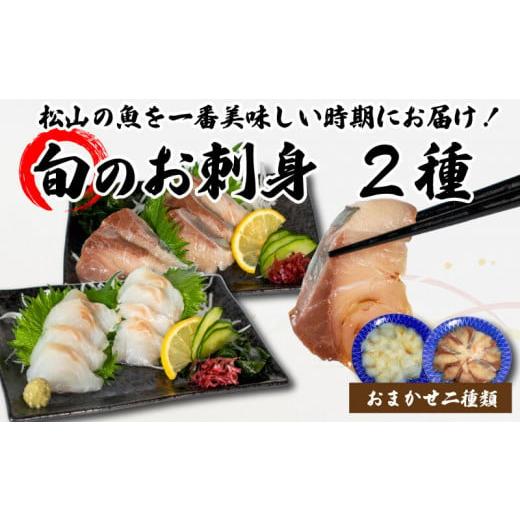 ふるさと納税 旬の鮮魚等 愛媛県 松山市 <秋のお届け> 旬のお刺身 2種類 (2~3人前×2種類) 魚 切身 鮮魚 刺身セット 刺身2種盛り 刺身 お刺身 お刺し身 …