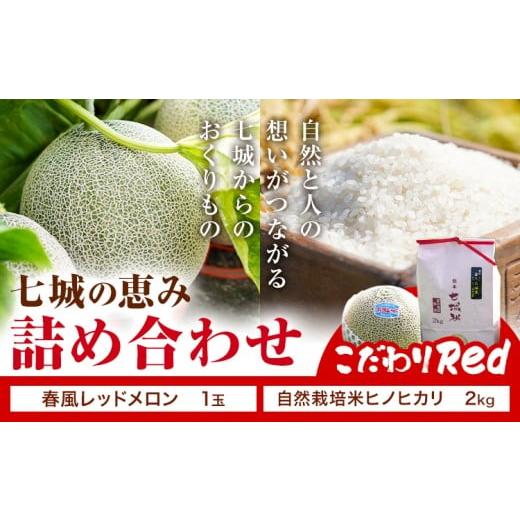 ふるさと納税 米 ヒノヒカリ 熊本県 菊池市 七城の恵み 詰め合わせ こだわりRed 自然栽培米 ヒノヒカリ 2kg 春風レッド メロン 1玉 株式会社七城の恵み[5月上…