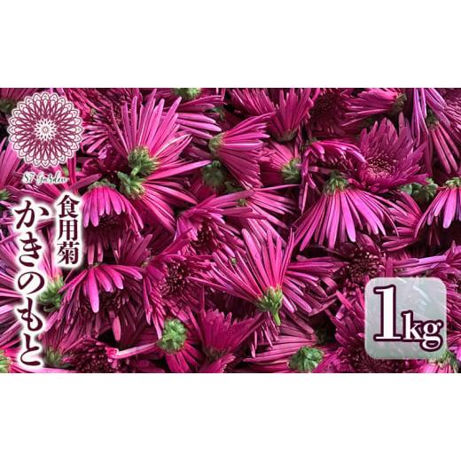 ふるさと納税 野菜類 新潟県 新潟市 かきのもと(食用菊)1kg 野菜 苦みが少ない 旨味 香りが強い シャキシャキ食感 鮮やか 紫色 食用花 彩 食卓 華やか