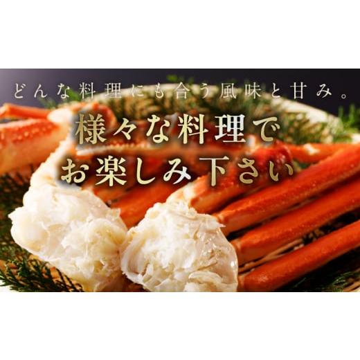 ふるさと納税 カニ ずわいガニ 大阪府 泉佐野市 生ずわい蟹 2kg 5L