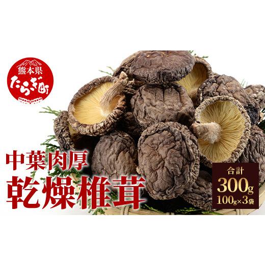ふるさと納税 乾物 干ししいたけ 熊本県 多良木町 父の日ギフト 農林水産大臣賞受賞 槻木産 中葉厚肉 乾燥椎茸 3袋セット 計300g 100g×3 しいたけ 熊本県 多…