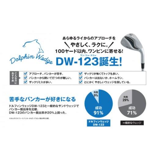 ふるさと納税 香川県 さぬき市 ゴルフ ゴルフクラブ ウェッジ 【58°】 キャスコ ドルフィンウェッジ レインボー 2023年 NEW モデル DW123 クロムメッキ Neo …｜furusatochoice｜04