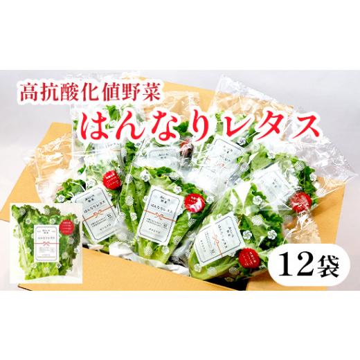 ふるさと納税 野菜類 京都府 舞鶴市 みらい乃野菜 はんなりレタス 12袋 720g はんなりレタス12袋