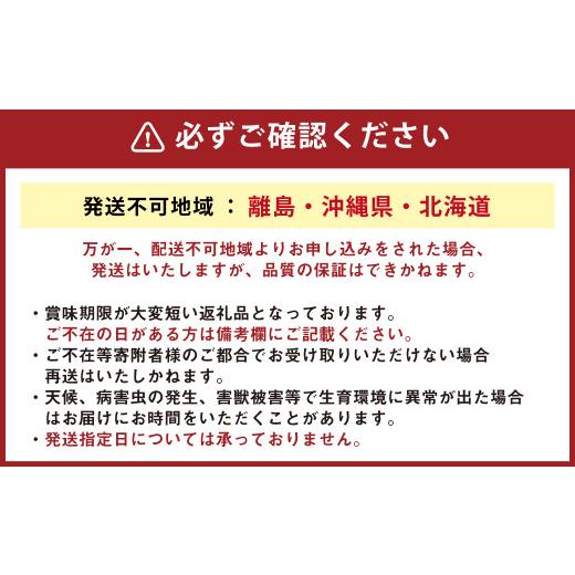 ふるさと納税 セット・詰合せ 大分県 豊後大野市 152-1057 北海道・沖縄県・離島への配送不可 豊後大野市の旬の お野菜 くだもの セット 8〜10品 大分県産 フ…_2