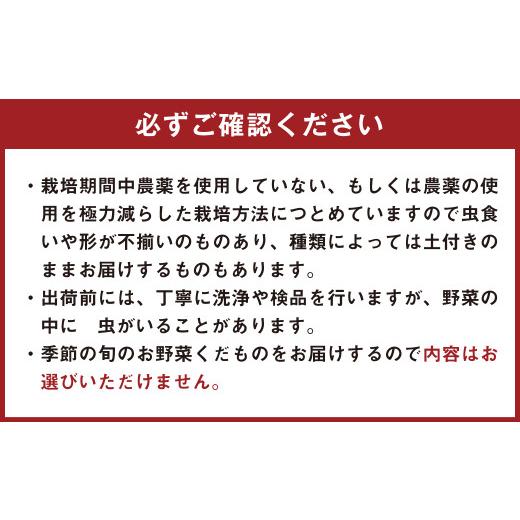 ふるさと納税 セット・詰合せ 大分県 豊後大野市 152-1057 北海道・沖縄県・離島への配送不可 豊後大野市の旬の お野菜 くだもの セット 8〜10品 大分県産 フ…_3