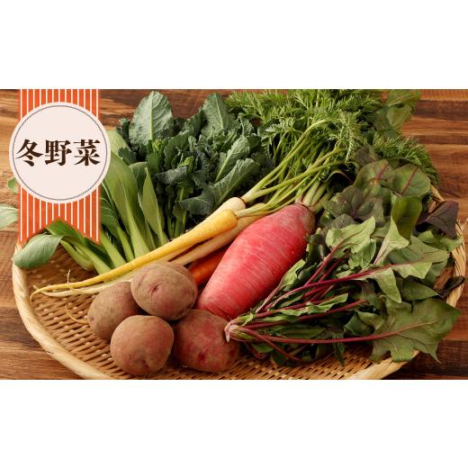 ふるさと納税 セット・詰合せ 大分県 豊後大野市 152-1057 北海道・沖縄県・離島への配送不可 豊後大野市の旬の お野菜 くだもの セット 8〜10品 大分県産 フ…_6