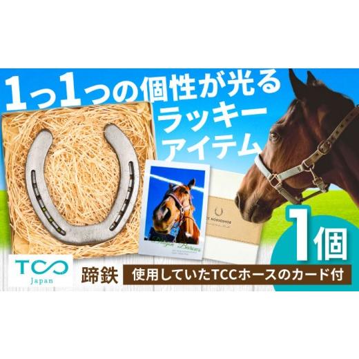 蹄鉄 ホースシュー 置物 インテリア ふるさと納税 雑貨・日用品 インテリア 滋賀県 栗東市 競馬 TCCホース