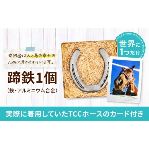 ふるさと納税 雑貨・日用品 インテリア 滋賀県 栗東市 競馬 TCCホース